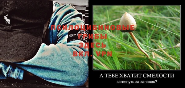 амфетамин Медногорск