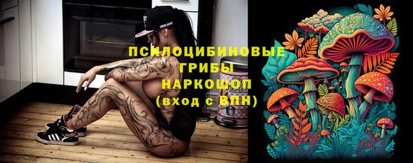 mix Мегион