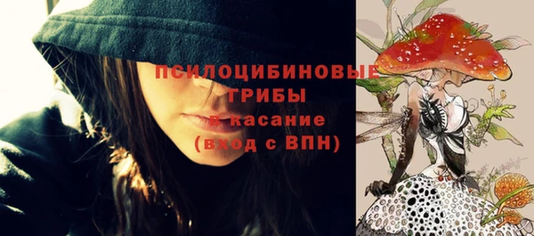 прущая мука Медвежьегорск